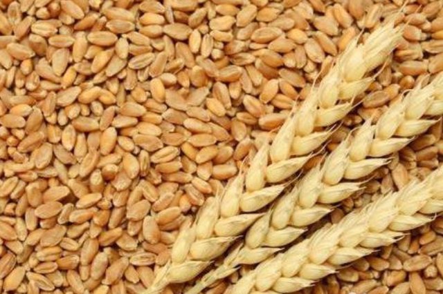Пшеница фасованная в мешки