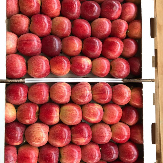 Яблоки оптом 70+ от производителя от 70 р/кг.